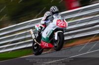 anglesey;brands-hatch;cadwell-park;croft;donington-park;enduro-digital-images;event-digital-images;eventdigitalimages;mallory;no-limits;oulton-park;peter-wileman-photography;racing-digital-images;silverstone;snetterton;trackday-digital-images;trackday-photos;vmcc-banbury-run;welsh-2-day-enduro