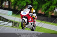 anglesey;brands-hatch;cadwell-park;croft;donington-park;enduro-digital-images;event-digital-images;eventdigitalimages;mallory;no-limits;oulton-park;peter-wileman-photography;racing-digital-images;silverstone;snetterton;trackday-digital-images;trackday-photos;vmcc-banbury-run;welsh-2-day-enduro