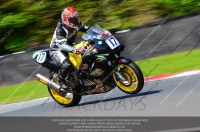 anglesey;brands-hatch;cadwell-park;croft;donington-park;enduro-digital-images;event-digital-images;eventdigitalimages;mallory;no-limits;oulton-park;peter-wileman-photography;racing-digital-images;silverstone;snetterton;trackday-digital-images;trackday-photos;vmcc-banbury-run;welsh-2-day-enduro