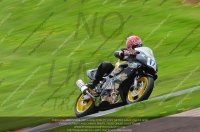 anglesey;brands-hatch;cadwell-park;croft;donington-park;enduro-digital-images;event-digital-images;eventdigitalimages;mallory;no-limits;oulton-park;peter-wileman-photography;racing-digital-images;silverstone;snetterton;trackday-digital-images;trackday-photos;vmcc-banbury-run;welsh-2-day-enduro