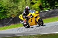 anglesey;brands-hatch;cadwell-park;croft;donington-park;enduro-digital-images;event-digital-images;eventdigitalimages;mallory;no-limits;oulton-park;peter-wileman-photography;racing-digital-images;silverstone;snetterton;trackday-digital-images;trackday-photos;vmcc-banbury-run;welsh-2-day-enduro