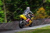 anglesey;brands-hatch;cadwell-park;croft;donington-park;enduro-digital-images;event-digital-images;eventdigitalimages;mallory;no-limits;oulton-park;peter-wileman-photography;racing-digital-images;silverstone;snetterton;trackday-digital-images;trackday-photos;vmcc-banbury-run;welsh-2-day-enduro