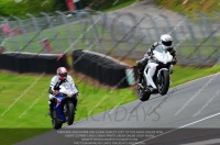 anglesey;brands-hatch;cadwell-park;croft;donington-park;enduro-digital-images;event-digital-images;eventdigitalimages;mallory;no-limits;oulton-park;peter-wileman-photography;racing-digital-images;silverstone;snetterton;trackday-digital-images;trackday-photos;vmcc-banbury-run;welsh-2-day-enduro