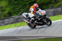 anglesey;brands-hatch;cadwell-park;croft;donington-park;enduro-digital-images;event-digital-images;eventdigitalimages;mallory;no-limits;oulton-park;peter-wileman-photography;racing-digital-images;silverstone;snetterton;trackday-digital-images;trackday-photos;vmcc-banbury-run;welsh-2-day-enduro