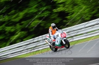 anglesey;brands-hatch;cadwell-park;croft;donington-park;enduro-digital-images;event-digital-images;eventdigitalimages;mallory;no-limits;oulton-park;peter-wileman-photography;racing-digital-images;silverstone;snetterton;trackday-digital-images;trackday-photos;vmcc-banbury-run;welsh-2-day-enduro