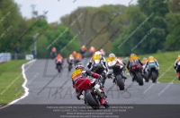 anglesey;brands-hatch;cadwell-park;croft;donington-park;enduro-digital-images;event-digital-images;eventdigitalimages;mallory;no-limits;oulton-park;peter-wileman-photography;racing-digital-images;silverstone;snetterton;trackday-digital-images;trackday-photos;vmcc-banbury-run;welsh-2-day-enduro