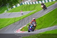 cadwell-no-limits-trackday;cadwell-park;cadwell-park-photographs;cadwell-trackday-photographs;enduro-digital-images;event-digital-images;eventdigitalimages;no-limits-trackdays;peter-wileman-photography;racing-digital-images;trackday-digital-images;trackday-photos