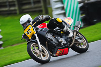 anglesey;brands-hatch;cadwell-park;croft;donington-park;enduro-digital-images;event-digital-images;eventdigitalimages;mallory;no-limits;oulton-park;peter-wileman-photography;racing-digital-images;silverstone;snetterton;trackday-digital-images;trackday-photos;vmcc-banbury-run;welsh-2-day-enduro