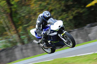 enduro-digital-images;event-digital-images;eventdigitalimages;no-limits-trackdays;oulton-no-limits-trackday;oulton-park-cheshire;oulton-trackday-photographs;peter-wileman-photography;racing-digital-images;trackday-digital-images;trackday-photos