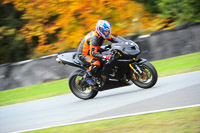 enduro-digital-images;event-digital-images;eventdigitalimages;no-limits-trackdays;oulton-no-limits-trackday;oulton-park-cheshire;oulton-trackday-photographs;peter-wileman-photography;racing-digital-images;trackday-digital-images;trackday-photos