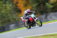 enduro-digital-images;event-digital-images;eventdigitalimages;no-limits-trackdays;oulton-no-limits-trackday;oulton-park-cheshire;oulton-trackday-photographs;peter-wileman-photography;racing-digital-images;trackday-digital-images;trackday-photos