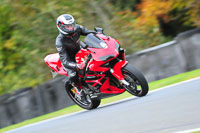 enduro-digital-images;event-digital-images;eventdigitalimages;no-limits-trackdays;oulton-no-limits-trackday;oulton-park-cheshire;oulton-trackday-photographs;peter-wileman-photography;racing-digital-images;trackday-digital-images;trackday-photos