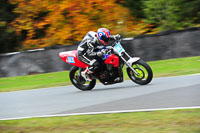 enduro-digital-images;event-digital-images;eventdigitalimages;no-limits-trackdays;oulton-no-limits-trackday;oulton-park-cheshire;oulton-trackday-photographs;peter-wileman-photography;racing-digital-images;trackday-digital-images;trackday-photos