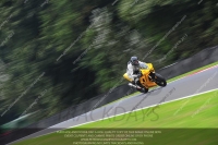 anglesey;brands-hatch;cadwell-park;croft;donington-park;enduro-digital-images;event-digital-images;eventdigitalimages;mallory;no-limits;oulton-park;peter-wileman-photography;racing-digital-images;silverstone;snetterton;trackday-digital-images;trackday-photos;vmcc-banbury-run;welsh-2-day-enduro