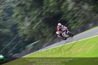 anglesey;brands-hatch;cadwell-park;croft;donington-park;enduro-digital-images;event-digital-images;eventdigitalimages;mallory;no-limits;oulton-park;peter-wileman-photography;racing-digital-images;silverstone;snetterton;trackday-digital-images;trackday-photos;vmcc-banbury-run;welsh-2-day-enduro