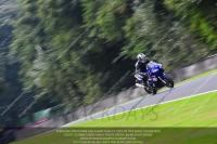 anglesey;brands-hatch;cadwell-park;croft;donington-park;enduro-digital-images;event-digital-images;eventdigitalimages;mallory;no-limits;oulton-park;peter-wileman-photography;racing-digital-images;silverstone;snetterton;trackday-digital-images;trackday-photos;vmcc-banbury-run;welsh-2-day-enduro