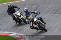 anglesey;brands-hatch;cadwell-park;croft;donington-park;enduro-digital-images;event-digital-images;eventdigitalimages;mallory;no-limits;oulton-park;peter-wileman-photography;racing-digital-images;silverstone;snetterton;trackday-digital-images;trackday-photos;vmcc-banbury-run;welsh-2-day-enduro