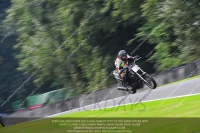 anglesey;brands-hatch;cadwell-park;croft;donington-park;enduro-digital-images;event-digital-images;eventdigitalimages;mallory;no-limits;oulton-park;peter-wileman-photography;racing-digital-images;silverstone;snetterton;trackday-digital-images;trackday-photos;vmcc-banbury-run;welsh-2-day-enduro