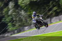 anglesey;brands-hatch;cadwell-park;croft;donington-park;enduro-digital-images;event-digital-images;eventdigitalimages;mallory;no-limits;oulton-park;peter-wileman-photography;racing-digital-images;silverstone;snetterton;trackday-digital-images;trackday-photos;vmcc-banbury-run;welsh-2-day-enduro