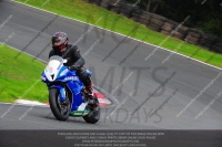 anglesey;brands-hatch;cadwell-park;croft;donington-park;enduro-digital-images;event-digital-images;eventdigitalimages;mallory;no-limits;oulton-park;peter-wileman-photography;racing-digital-images;silverstone;snetterton;trackday-digital-images;trackday-photos;vmcc-banbury-run;welsh-2-day-enduro