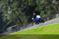 anglesey;brands-hatch;cadwell-park;croft;donington-park;enduro-digital-images;event-digital-images;eventdigitalimages;mallory;no-limits;oulton-park;peter-wileman-photography;racing-digital-images;silverstone;snetterton;trackday-digital-images;trackday-photos;vmcc-banbury-run;welsh-2-day-enduro