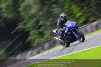 anglesey;brands-hatch;cadwell-park;croft;donington-park;enduro-digital-images;event-digital-images;eventdigitalimages;mallory;no-limits;oulton-park;peter-wileman-photography;racing-digital-images;silverstone;snetterton;trackday-digital-images;trackday-photos;vmcc-banbury-run;welsh-2-day-enduro