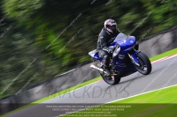 anglesey;brands-hatch;cadwell-park;croft;donington-park;enduro-digital-images;event-digital-images;eventdigitalimages;mallory;no-limits;oulton-park;peter-wileman-photography;racing-digital-images;silverstone;snetterton;trackday-digital-images;trackday-photos;vmcc-banbury-run;welsh-2-day-enduro