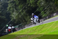 anglesey;brands-hatch;cadwell-park;croft;donington-park;enduro-digital-images;event-digital-images;eventdigitalimages;mallory;no-limits;oulton-park;peter-wileman-photography;racing-digital-images;silverstone;snetterton;trackday-digital-images;trackday-photos;vmcc-banbury-run;welsh-2-day-enduro