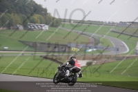 anglesey;brands-hatch;cadwell-park;croft;donington-park;enduro-digital-images;event-digital-images;eventdigitalimages;mallory;no-limits;oulton-park;peter-wileman-photography;racing-digital-images;silverstone;snetterton;trackday-digital-images;trackday-photos;welsh-2-day-enduro