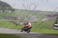 anglesey;brands-hatch;cadwell-park;croft;donington-park;enduro-digital-images;event-digital-images;eventdigitalimages;mallory;no-limits;oulton-park;peter-wileman-photography;racing-digital-images;silverstone;snetterton;trackday-digital-images;trackday-photos;welsh-2-day-enduro