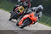 anglesey;brands-hatch;cadwell-park;croft;donington-park;enduro-digital-images;event-digital-images;eventdigitalimages;mallory;no-limits;oulton-park;peter-wileman-photography;racing-digital-images;silverstone;snetterton;trackday-digital-images;trackday-photos;welsh-2-day-enduro