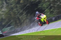 anglesey;brands-hatch;cadwell-park;croft;donington-park;enduro-digital-images;event-digital-images;eventdigitalimages;mallory;no-limits;oulton-park;peter-wileman-photography;racing-digital-images;silverstone;snetterton;trackday-digital-images;trackday-photos;vmcc-banbury-run;welsh-2-day-enduro