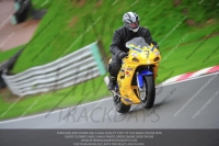 anglesey;brands-hatch;cadwell-park;croft;donington-park;enduro-digital-images;event-digital-images;eventdigitalimages;mallory;no-limits;oulton-park;peter-wileman-photography;racing-digital-images;silverstone;snetterton;trackday-digital-images;trackday-photos;vmcc-banbury-run;welsh-2-day-enduro