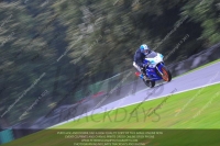 anglesey;brands-hatch;cadwell-park;croft;donington-park;enduro-digital-images;event-digital-images;eventdigitalimages;mallory;no-limits;oulton-park;peter-wileman-photography;racing-digital-images;silverstone;snetterton;trackday-digital-images;trackday-photos;vmcc-banbury-run;welsh-2-day-enduro