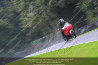 anglesey;brands-hatch;cadwell-park;croft;donington-park;enduro-digital-images;event-digital-images;eventdigitalimages;mallory;no-limits;oulton-park;peter-wileman-photography;racing-digital-images;silverstone;snetterton;trackday-digital-images;trackday-photos;vmcc-banbury-run;welsh-2-day-enduro