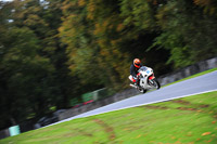 enduro-digital-images;event-digital-images;eventdigitalimages;no-limits-trackdays;oulton-no-limits-trackday;oulton-park-cheshire;oulton-trackday-photographs;peter-wileman-photography;racing-digital-images;trackday-digital-images;trackday-photos