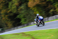 enduro-digital-images;event-digital-images;eventdigitalimages;no-limits-trackdays;oulton-no-limits-trackday;oulton-park-cheshire;oulton-trackday-photographs;peter-wileman-photography;racing-digital-images;trackday-digital-images;trackday-photos