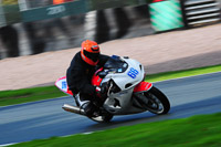 enduro-digital-images;event-digital-images;eventdigitalimages;no-limits-trackdays;oulton-no-limits-trackday;oulton-park-cheshire;oulton-trackday-photographs;peter-wileman-photography;racing-digital-images;trackday-digital-images;trackday-photos