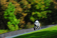 enduro-digital-images;event-digital-images;eventdigitalimages;no-limits-trackdays;oulton-no-limits-trackday;oulton-park-cheshire;oulton-trackday-photographs;peter-wileman-photography;racing-digital-images;trackday-digital-images;trackday-photos