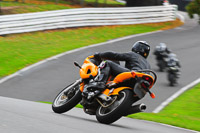 enduro-digital-images;event-digital-images;eventdigitalimages;no-limits-trackdays;oulton-no-limits-trackday;oulton-park-cheshire;oulton-trackday-photographs;peter-wileman-photography;racing-digital-images;trackday-digital-images;trackday-photos