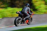 enduro-digital-images;event-digital-images;eventdigitalimages;no-limits-trackdays;oulton-no-limits-trackday;oulton-park-cheshire;oulton-trackday-photographs;peter-wileman-photography;racing-digital-images;trackday-digital-images;trackday-photos