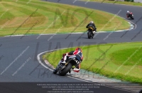 anglesey;brands-hatch;cadwell-park;croft;donington-park;enduro-digital-images;event-digital-images;eventdigitalimages;mallory;no-limits;oulton-park;peter-wileman-photography;racing-digital-images;silverstone;snetterton;trackday-digital-images;trackday-photos;vmcc-banbury-run;welsh-2-day-enduro