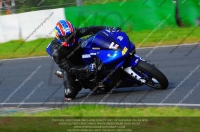 anglesey;brands-hatch;cadwell-park;croft;donington-park;enduro-digital-images;event-digital-images;eventdigitalimages;mallory;no-limits;oulton-park;peter-wileman-photography;racing-digital-images;silverstone;snetterton;trackday-digital-images;trackday-photos;vmcc-banbury-run;welsh-2-day-enduro