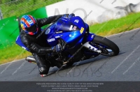 anglesey;brands-hatch;cadwell-park;croft;donington-park;enduro-digital-images;event-digital-images;eventdigitalimages;mallory;no-limits;oulton-park;peter-wileman-photography;racing-digital-images;silverstone;snetterton;trackday-digital-images;trackday-photos;vmcc-banbury-run;welsh-2-day-enduro