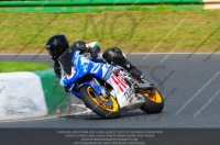 anglesey;brands-hatch;cadwell-park;croft;donington-park;enduro-digital-images;event-digital-images;eventdigitalimages;mallory;no-limits;oulton-park;peter-wileman-photography;racing-digital-images;silverstone;snetterton;trackday-digital-images;trackday-photos;vmcc-banbury-run;welsh-2-day-enduro