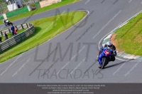 anglesey;brands-hatch;cadwell-park;croft;donington-park;enduro-digital-images;event-digital-images;eventdigitalimages;mallory;no-limits;oulton-park;peter-wileman-photography;racing-digital-images;silverstone;snetterton;trackday-digital-images;trackday-photos;vmcc-banbury-run;welsh-2-day-enduro