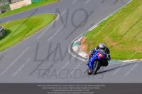 anglesey;brands-hatch;cadwell-park;croft;donington-park;enduro-digital-images;event-digital-images;eventdigitalimages;mallory;no-limits;oulton-park;peter-wileman-photography;racing-digital-images;silverstone;snetterton;trackday-digital-images;trackday-photos;vmcc-banbury-run;welsh-2-day-enduro