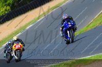 anglesey;brands-hatch;cadwell-park;croft;donington-park;enduro-digital-images;event-digital-images;eventdigitalimages;mallory;no-limits;oulton-park;peter-wileman-photography;racing-digital-images;silverstone;snetterton;trackday-digital-images;trackday-photos;vmcc-banbury-run;welsh-2-day-enduro