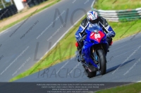 anglesey;brands-hatch;cadwell-park;croft;donington-park;enduro-digital-images;event-digital-images;eventdigitalimages;mallory;no-limits;oulton-park;peter-wileman-photography;racing-digital-images;silverstone;snetterton;trackday-digital-images;trackday-photos;vmcc-banbury-run;welsh-2-day-enduro