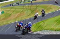 anglesey;brands-hatch;cadwell-park;croft;donington-park;enduro-digital-images;event-digital-images;eventdigitalimages;mallory;no-limits;oulton-park;peter-wileman-photography;racing-digital-images;silverstone;snetterton;trackday-digital-images;trackday-photos;vmcc-banbury-run;welsh-2-day-enduro